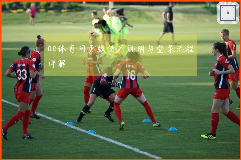ng体育网页版使用说明与登录流程详解