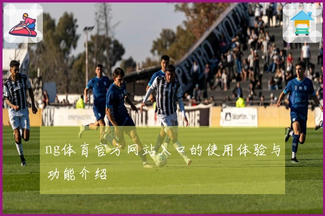 ng体育官方网站入口的使用体验与功能介绍