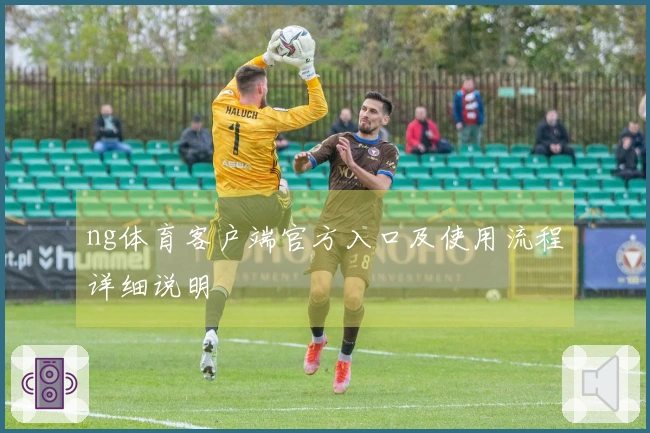 ng体育客户端官方入口及使用流程详细说明