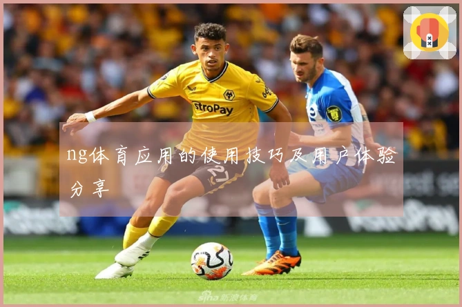 ng体育应用的使用技巧及用户体验分享