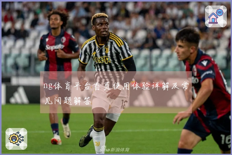 ng体育平台首页使用体验详解及常见问题解答