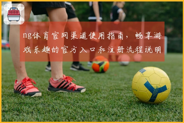 ng体育官网渠道使用指南，畅享游戏乐趣的官方入口和注册流程说明