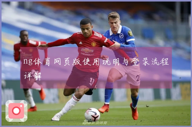 ng体育网页版使用说明与登录流程详解