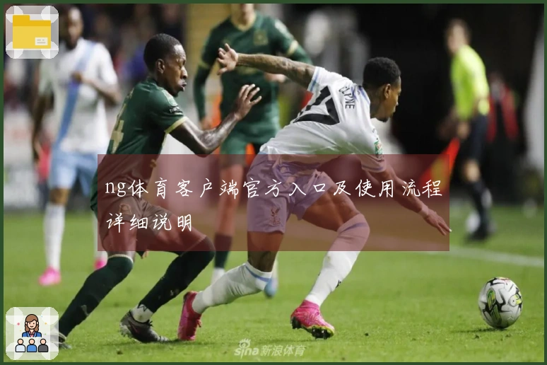 ng体育客户端官方入口及使用流程详细说明