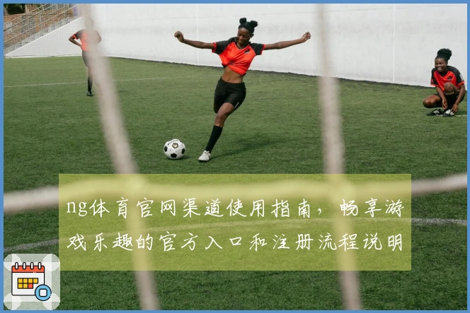 ng体育官网渠道使用指南，畅享游戏乐趣的官方入口和注册流程说明